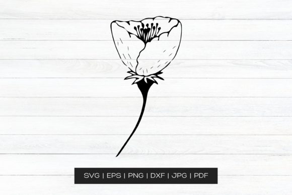 Hand Drawn Floral Clip Art